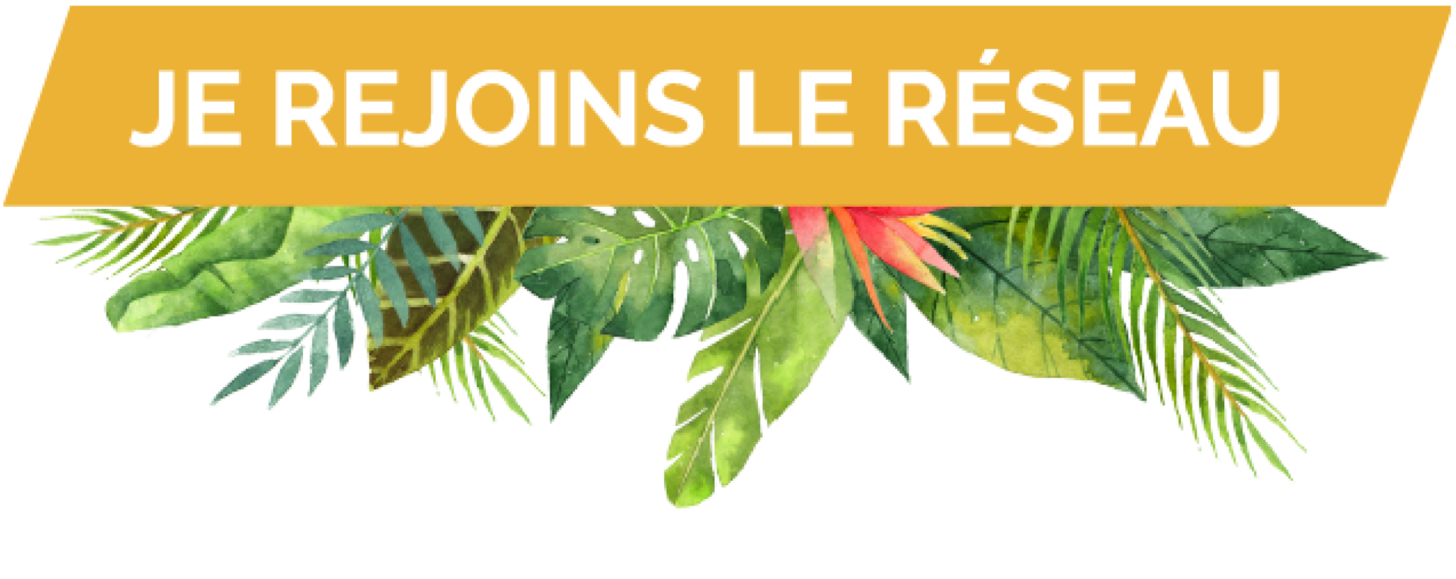 Les restaurants de Crêpe Touch